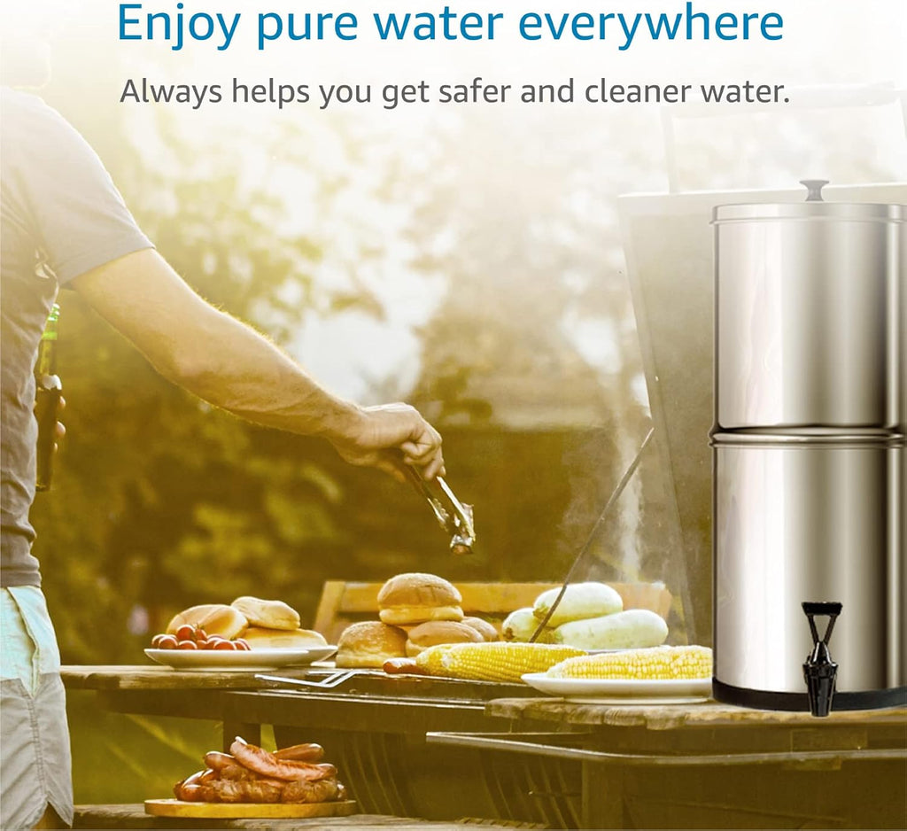 Black Purification Water Filter, Pack of 2 D201