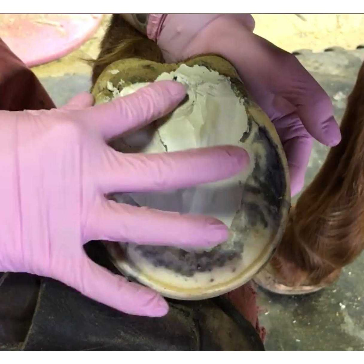 Hoof Clay 750g I46632
