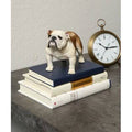 English Bulldog Statue I50714