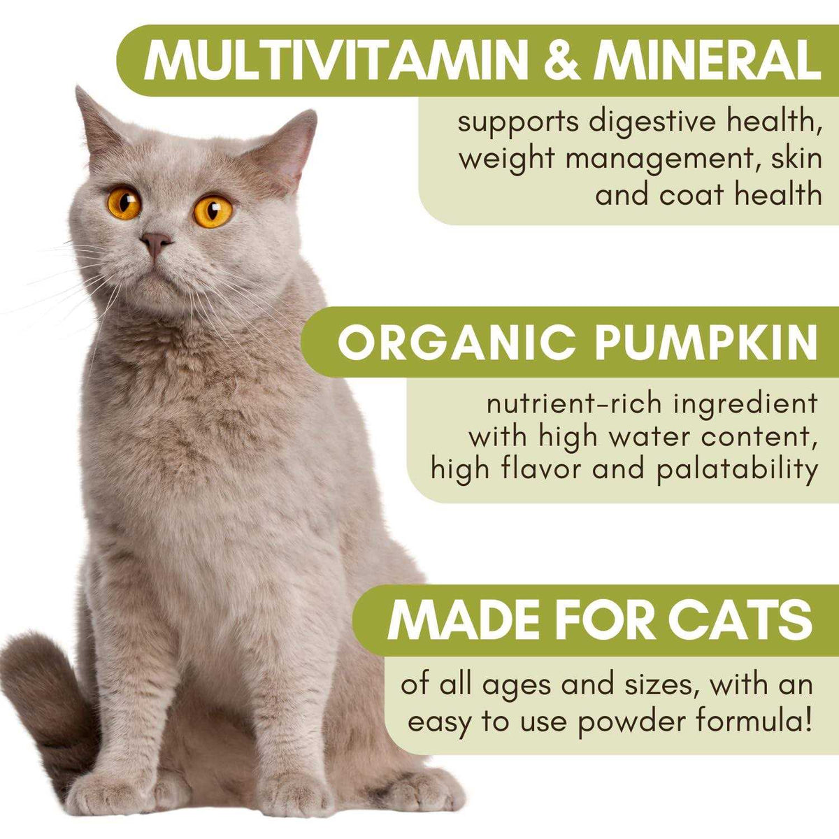Organic Feline Complete Pumpkin Enhanced Powder Multivitamin O64846