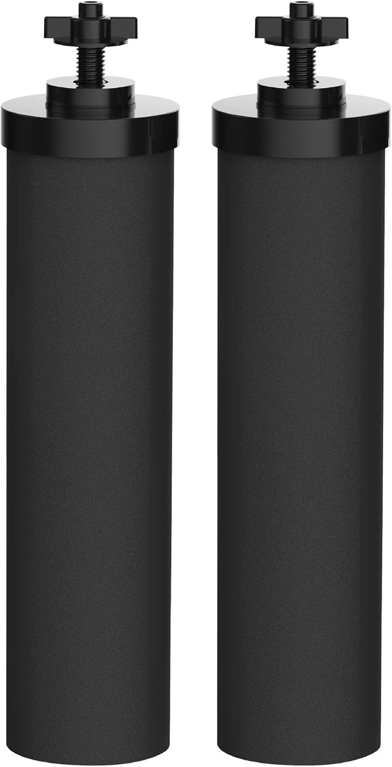 Black Purification Water Filter, Pack of 2 D201