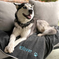 Personalized Dog Blanket U4509