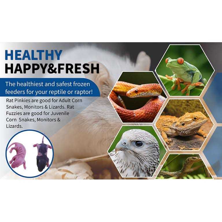 Frozen Mice Feeders Combo Pack 150 Count G405