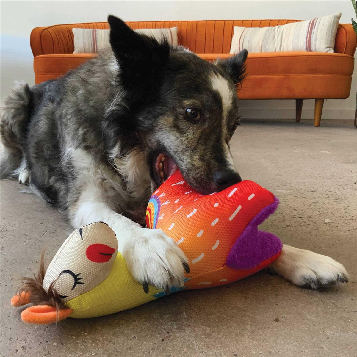 Dog Toy J47050