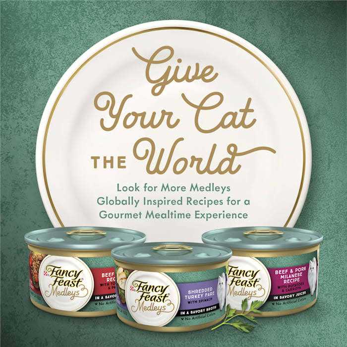 White Meat Chicken Spinach Wet Cat Food Can N83872