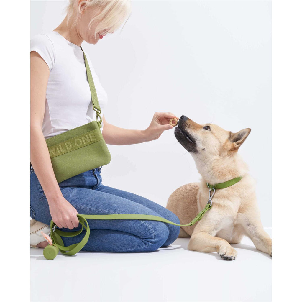 Poop Bag Carrier Q68167