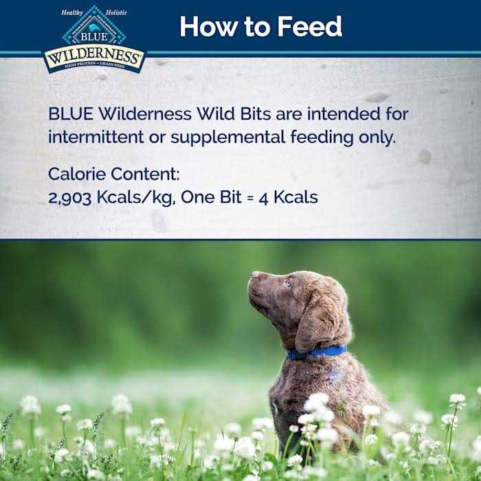 Dog Treats V276