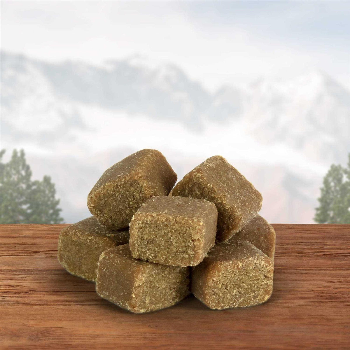 Dog Treats V276