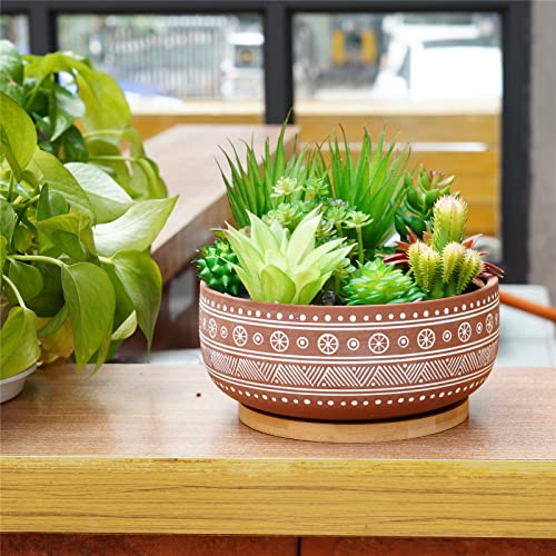 8 Inch Terracotta Succulent Planter Pot with Drainage Hole and Bamboo Tray B218