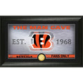 Cincinnati Bengals Photo R131