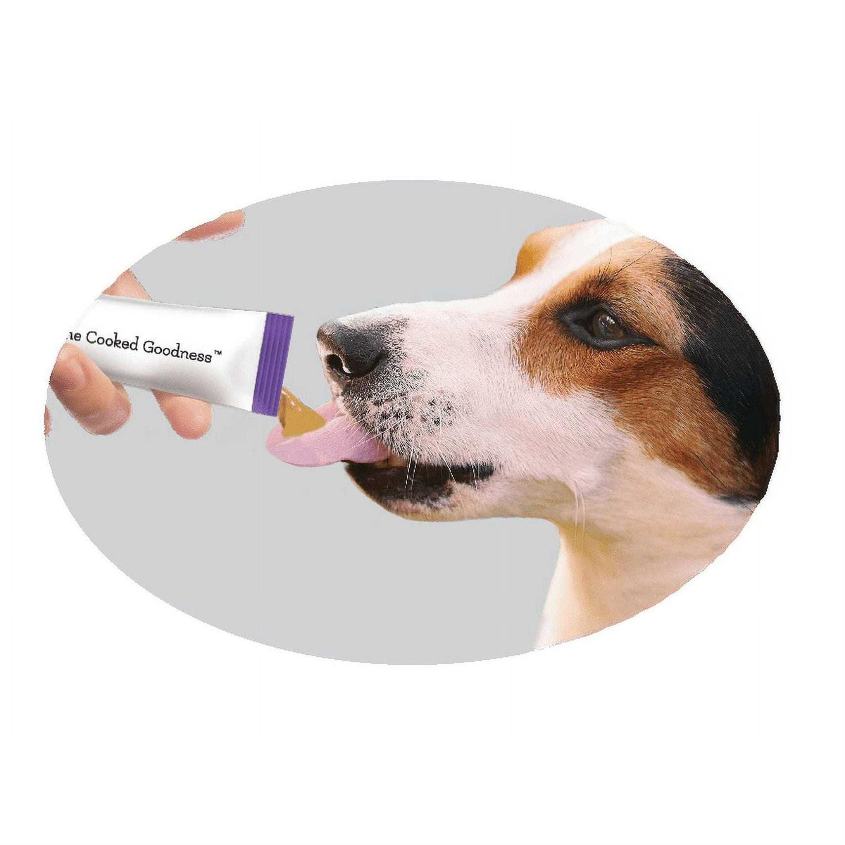 Peanut Butter Dog Treats N4467