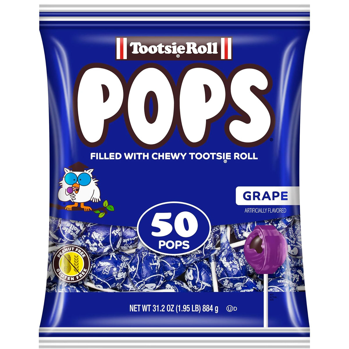 Grape Flavored Lollipops with Chocolatey Center, Individually Wrapped Hard Candy, 50 Count R59208