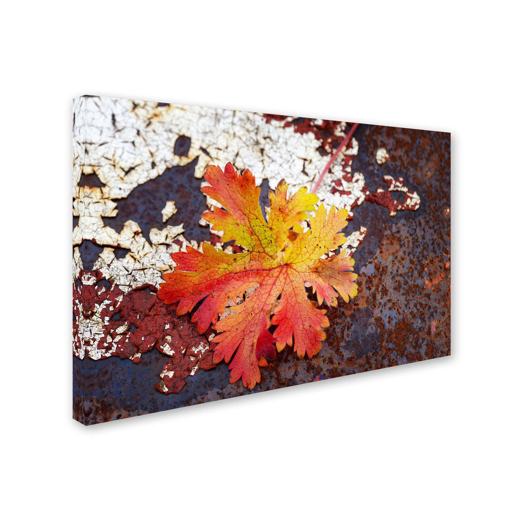 Autumn Rust Canvas Art A1602