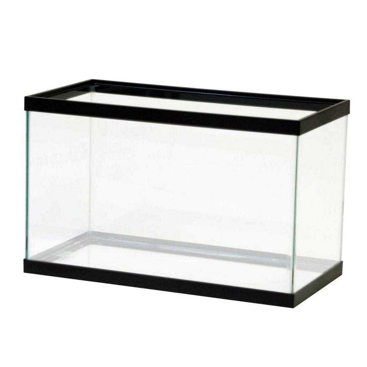Standard Glass Rectangle Q542138