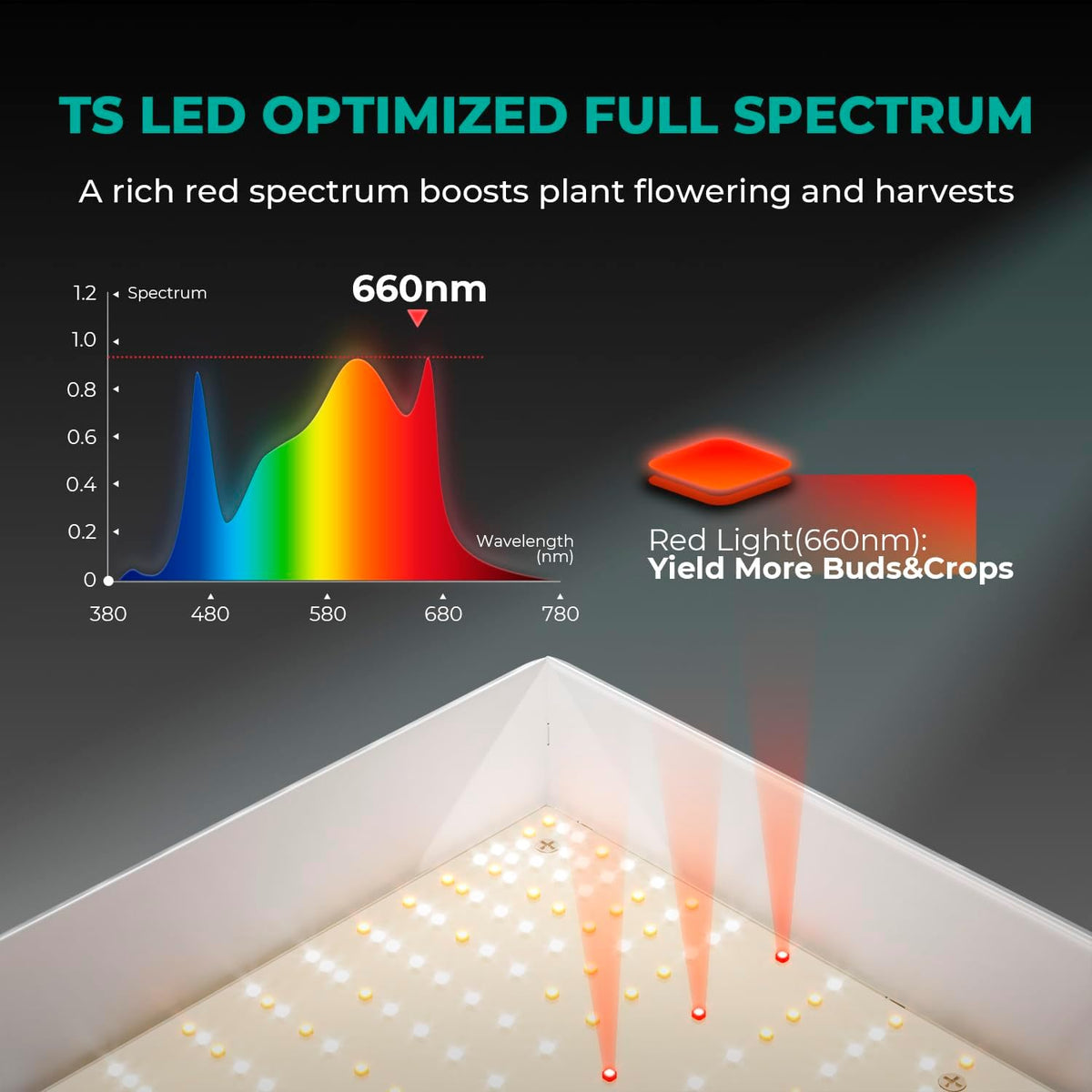 300Watt LED Grow Light S5129