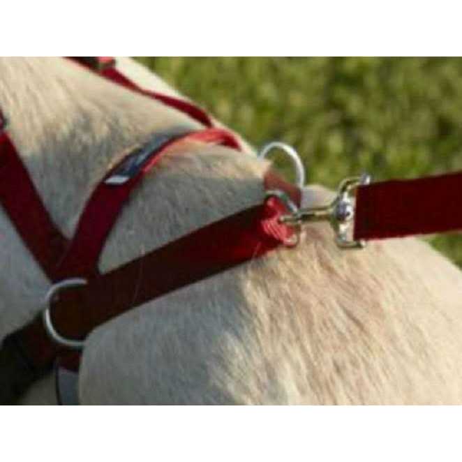 One Harness M4997
