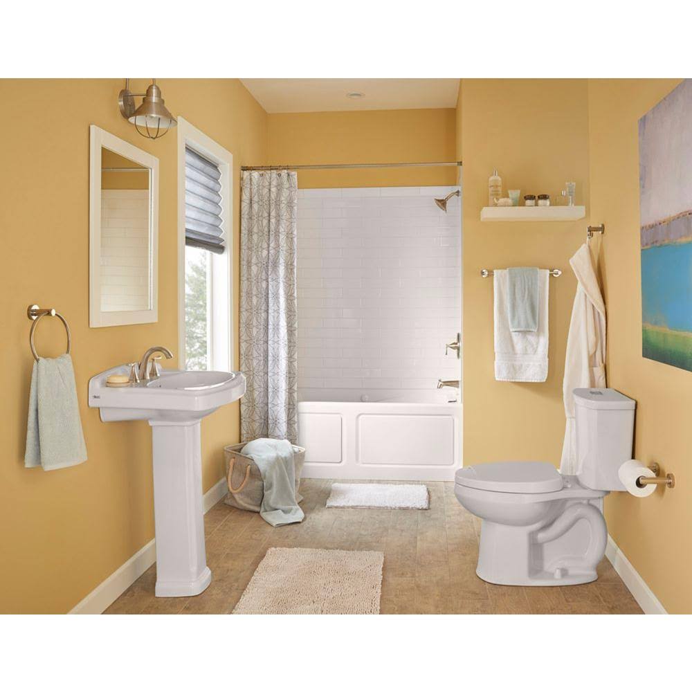 Brushed Nickel Bathroom Faucet S96751