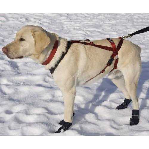 One Harness M4997