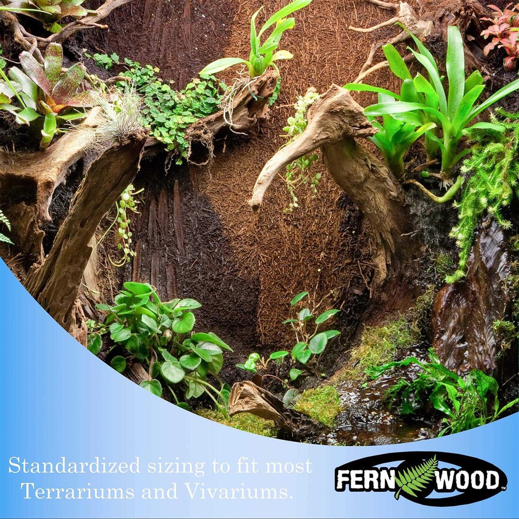 Fern Wood New Zealand Tree Fern Tropical Background Panel Twin Pack D935438