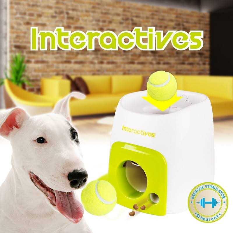 Interactive Fetch-N-Treat Dog Toy L500