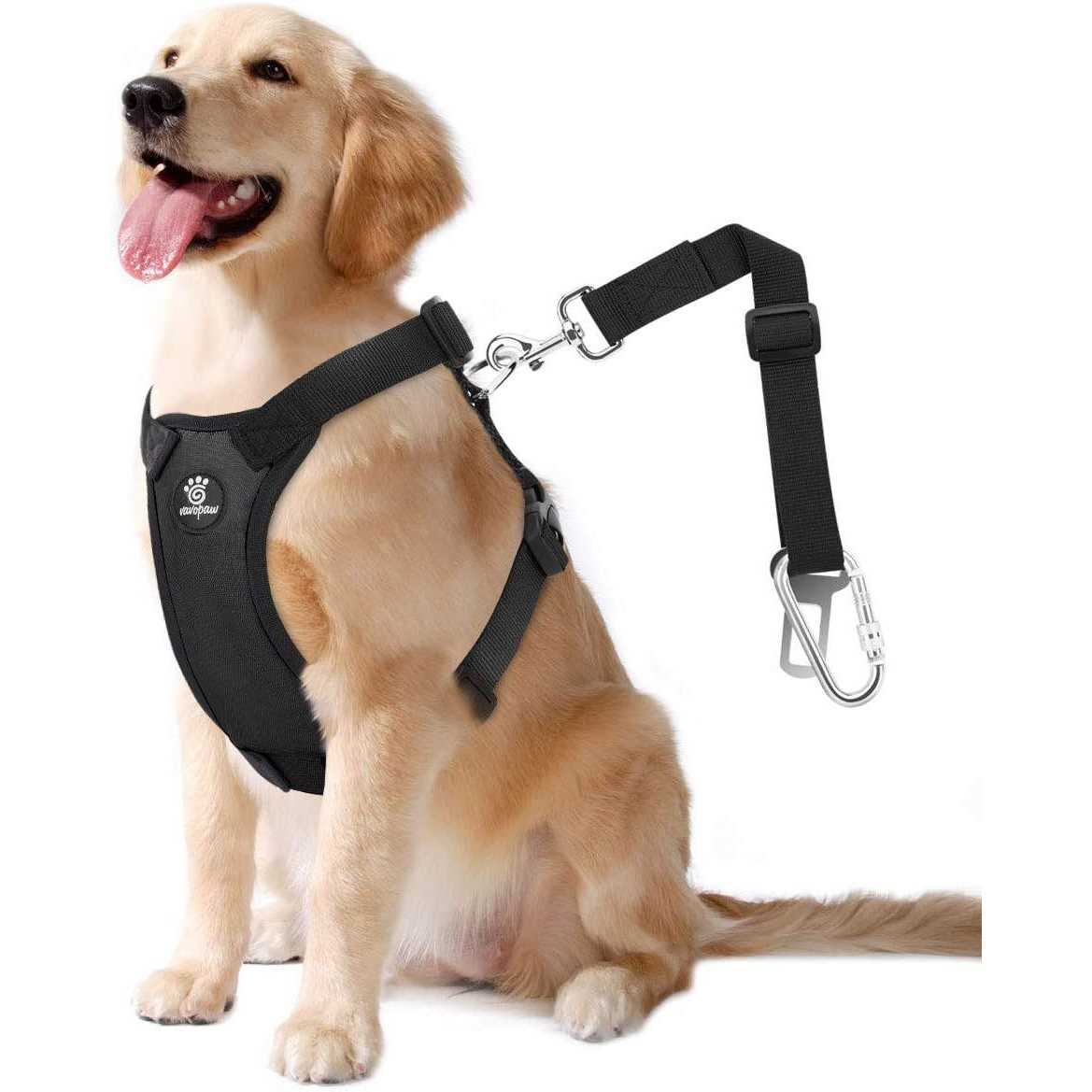 Adjustable Padded Mesh Dog Safety Vest Harness Q301