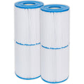 2 Pack Pool Spa Filter P22236