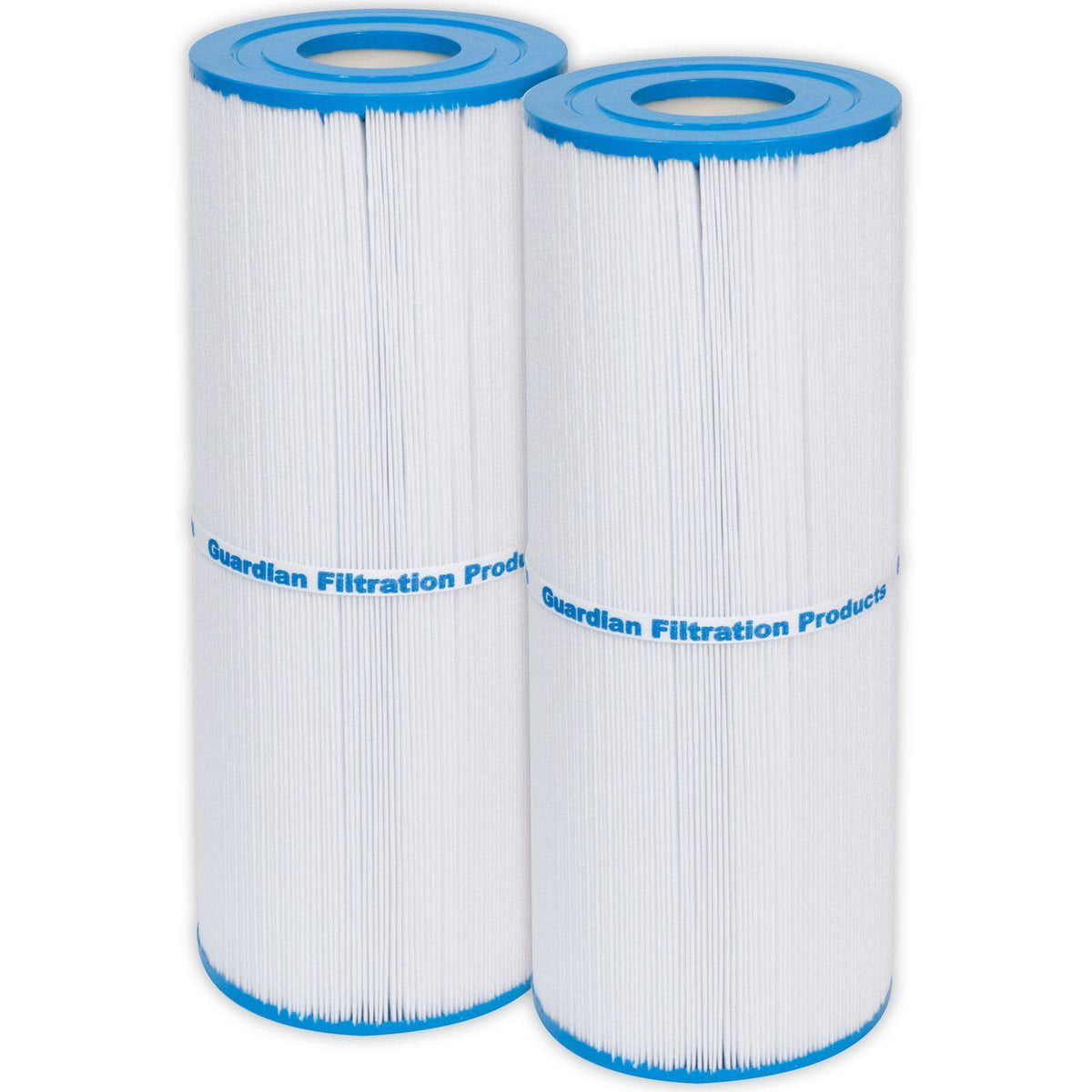 2 Pack Pool Spa Filter P22236