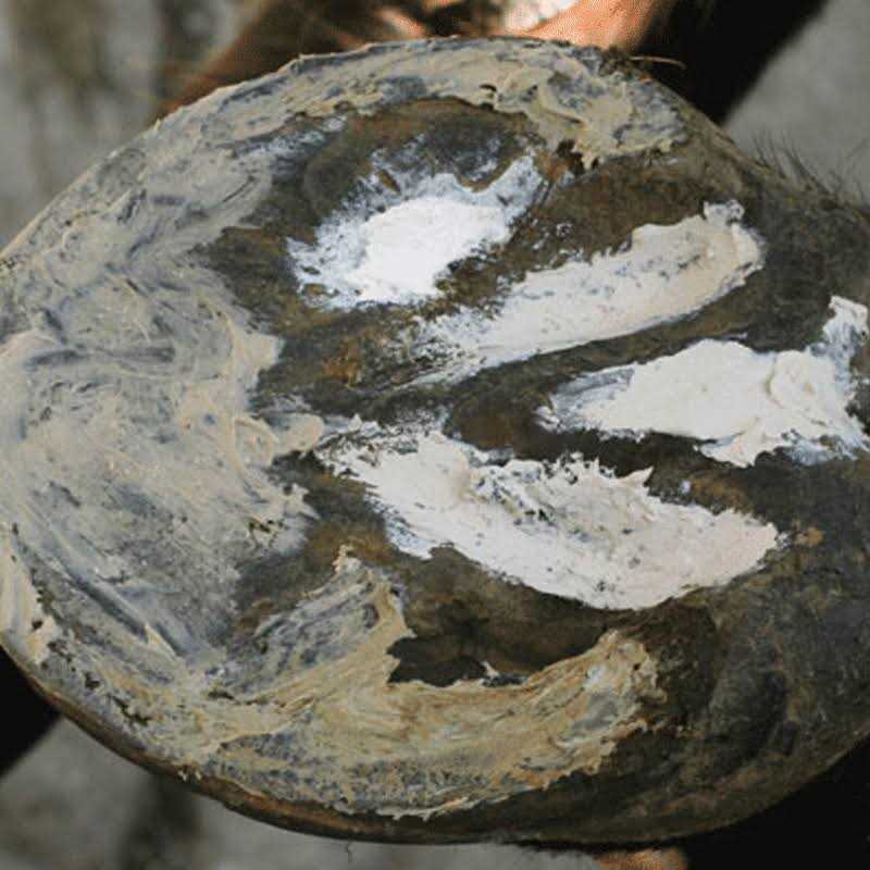 Hoof Clay 750g I46632