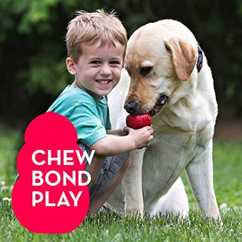 21 Pack Small Dog Chew Toys with Rope Toys A722806