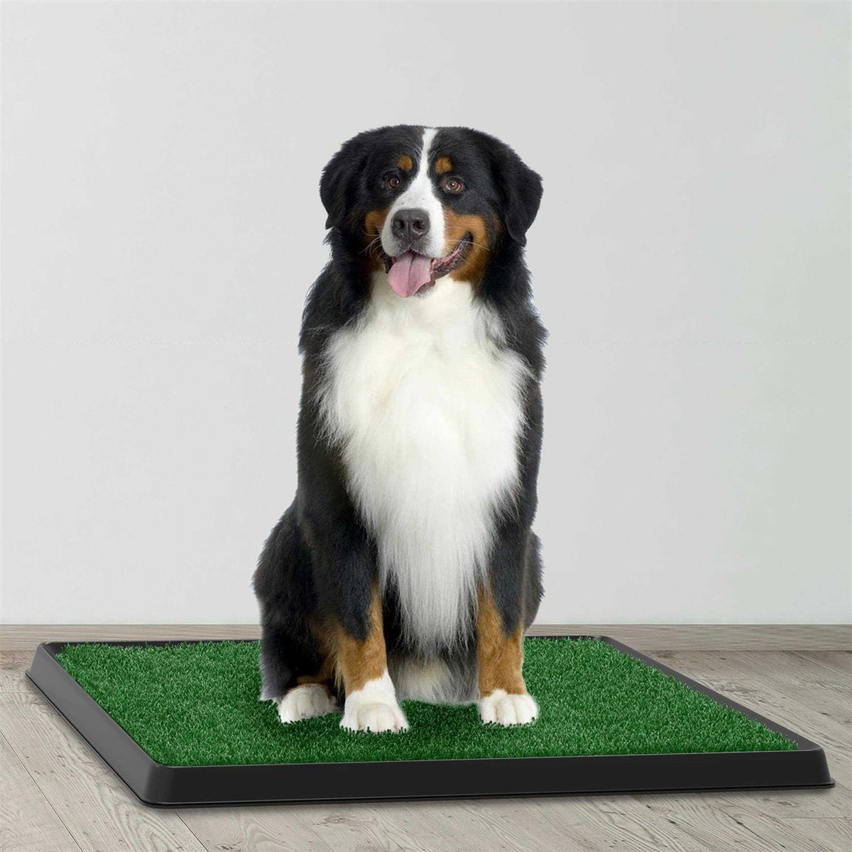 Artificial Grass Potty Trainer Mat K2747