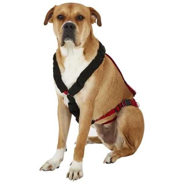 One Harness M4997