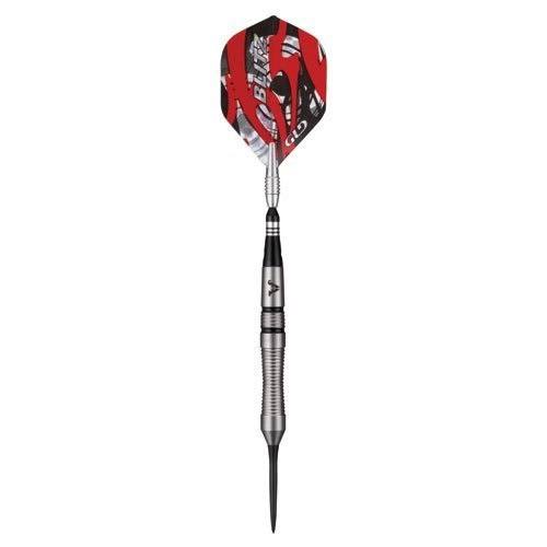 95% Tungsten Steel Tip Darts with Storage Case, 22 Grams T28476