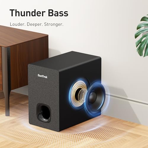 Karaoke Soundbar with Subwoofer, 2 Wireless Microphones, Bluetooth Speaker with Remote Z667