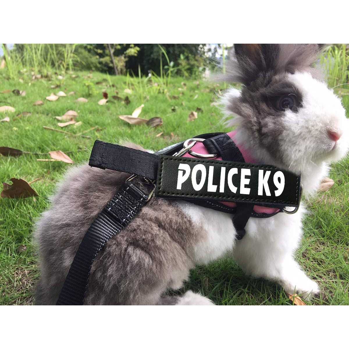 Rabbit Harness with Leash F587