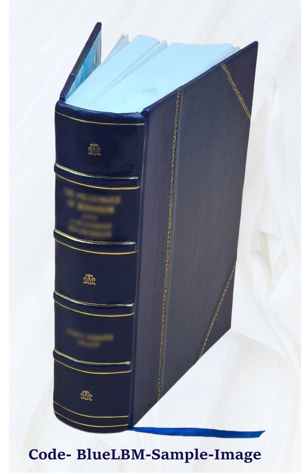 Leather Bound Book I5273