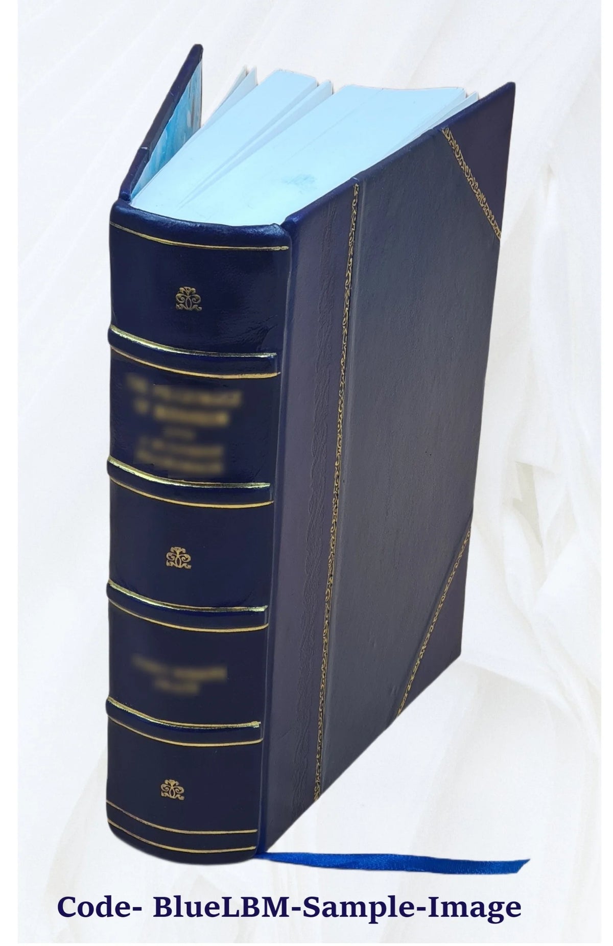 Leather Bound Book I5273