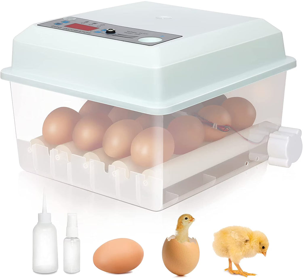 16 Eggs Incubator with Automatic Egg Turner D241354