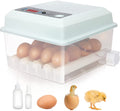 16 Eggs Incubator with Automatic Egg Turner D241354