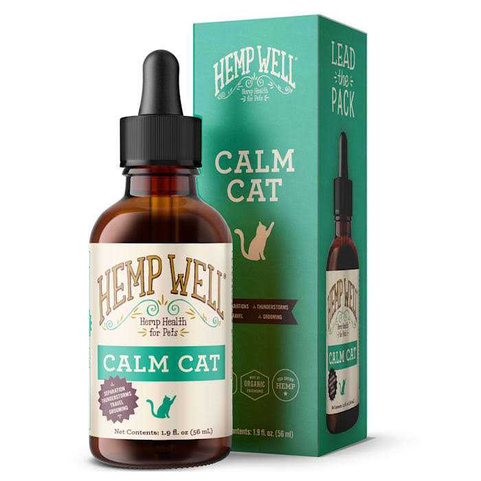 Calm Cat Y792