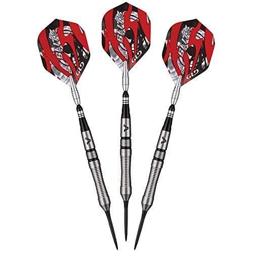95% Tungsten Steel Tip Darts with Storage Case, 22 Grams T28476