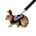 Rabbit Harness with Leash F587