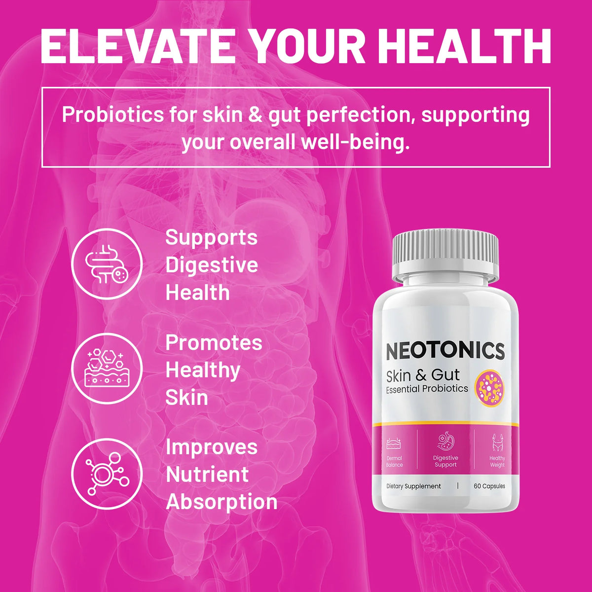 Probiotics Skin Gut K2931