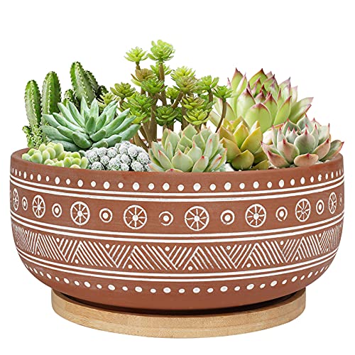 8 Inch Terracotta Succulent Planter Pot with Drainage Hole and Bamboo Tray B218