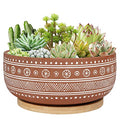8 Inch Terracotta Succulent Planter Pot with Drainage Hole and Bamboo Tray B218