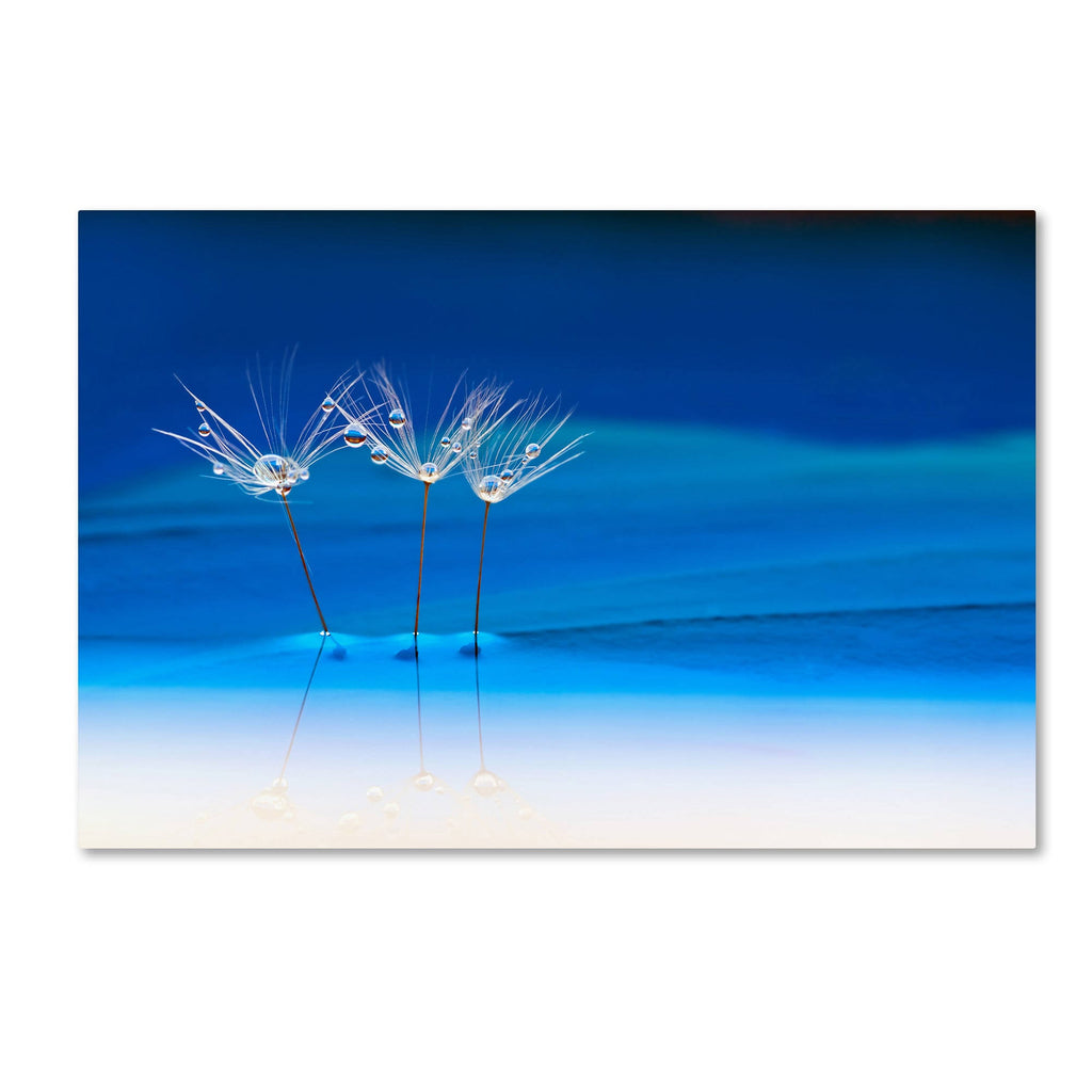 Blue Landscape Canvas Art (22x32) F39407