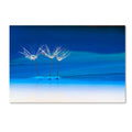 Blue Landscape Canvas Art (22x32) F39407