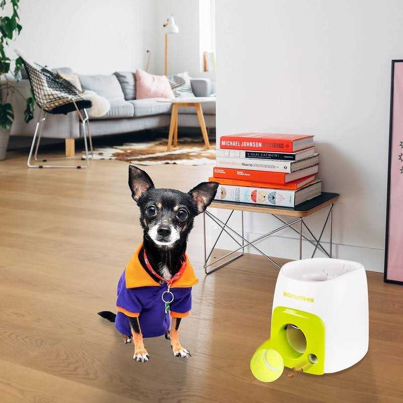 Interactive Fetch-N-Treat Dog Toy L500