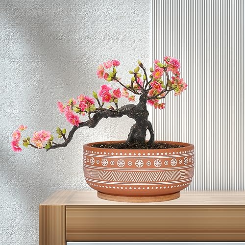 8 Inch Terracotta Succulent Planter Pot with Drainage Hole and Bamboo Tray B218