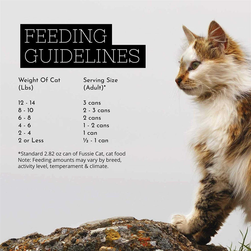 Chicken Gravy Cat Food I877967