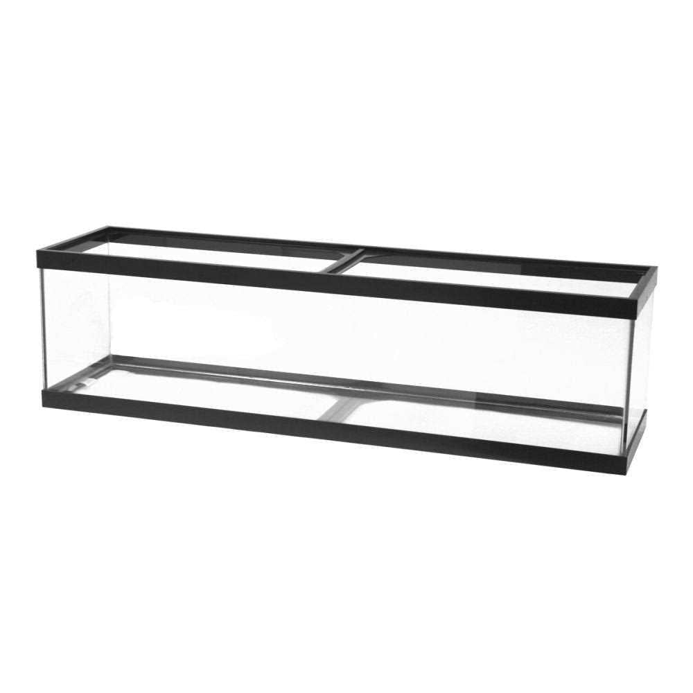 Standard Glass Rectangle Q542138